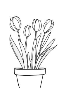 Tulipanes