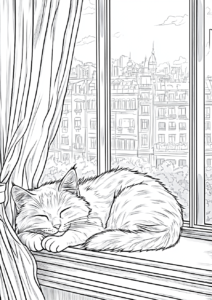 Gato en ventana